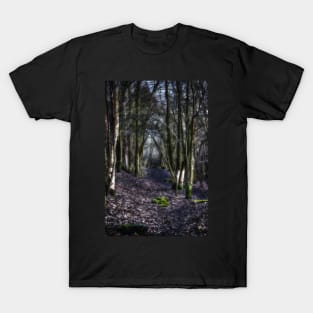 Lost in the Forest T-Shirt